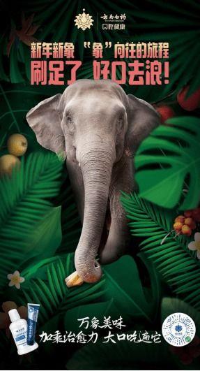 2022娱乐圈吃瓜乱象,揭秘吃瓜乱象背后的真相与反思 第2张 2022娱乐圈吃瓜乱象,揭秘吃瓜乱象背后的真相与反思 第2张